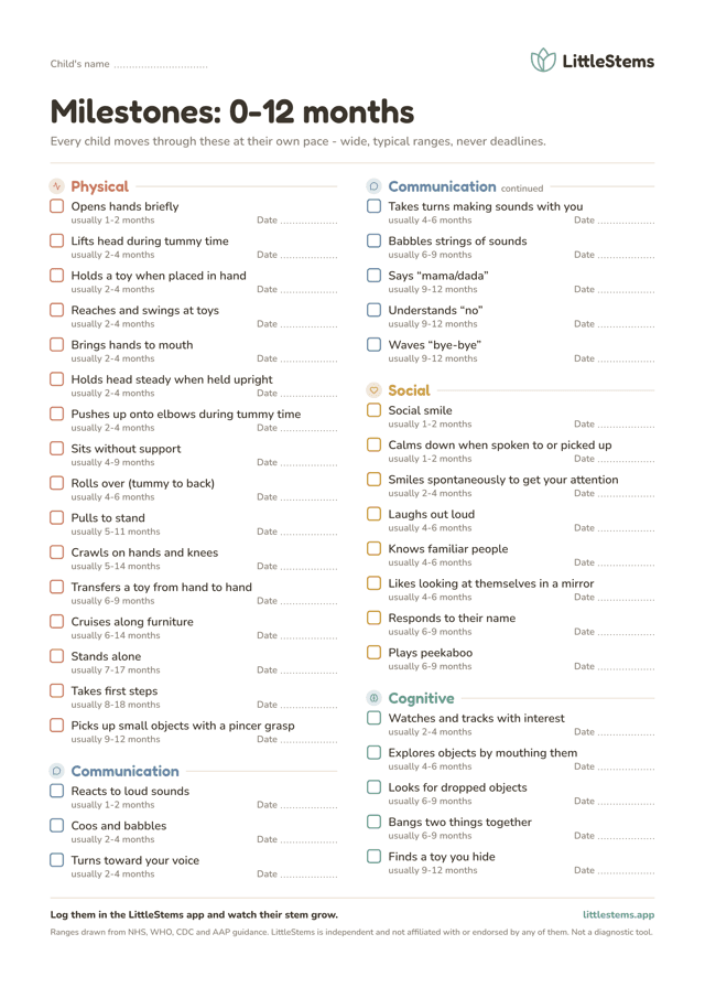 Pages from the milestone checklist