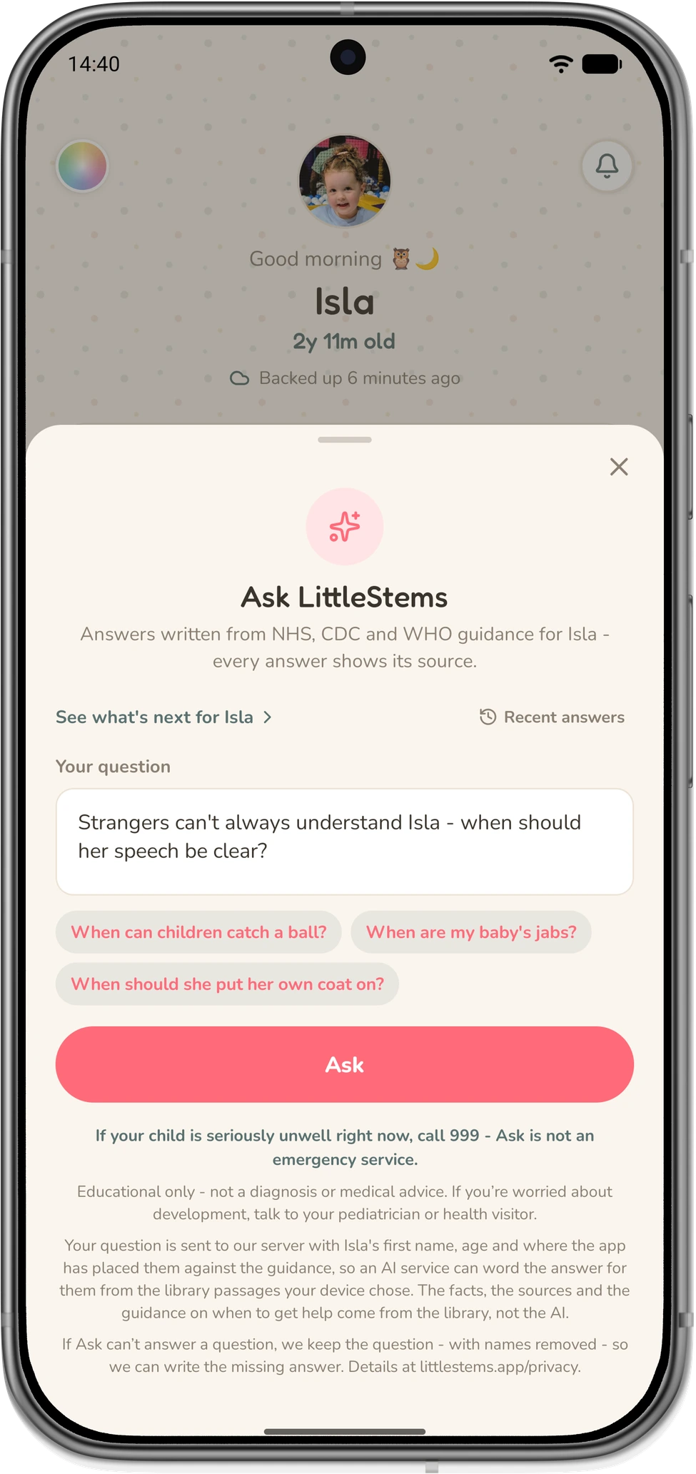 Ask LittleStems sheet with a question about speech typed in, ready to ask