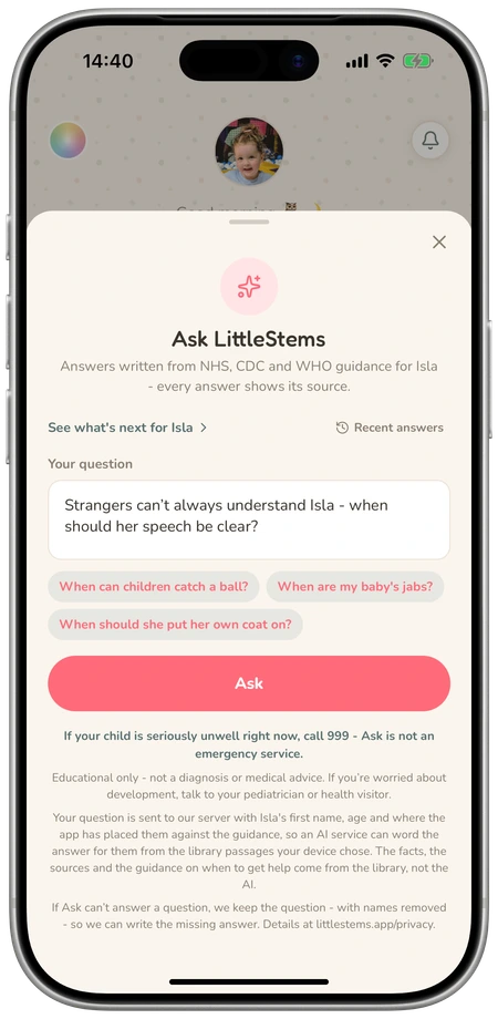Ask LittleStems sheet with a question about speech typed in, ready to ask